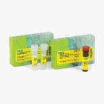 ddPCR™ Library Quantification Kit for Illumina TruSeq