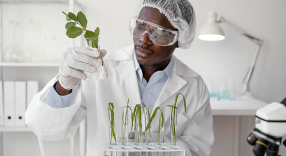 environmental science