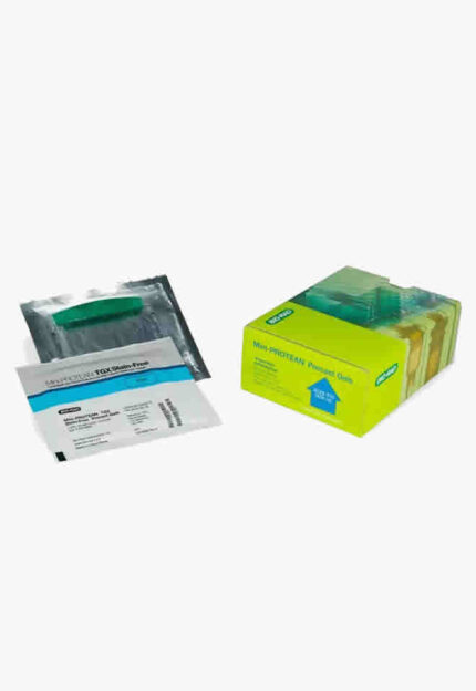 4–20% Mini-PROTEAN® TGX Stain-Free™ Protein Gels, 10 well, 50uL