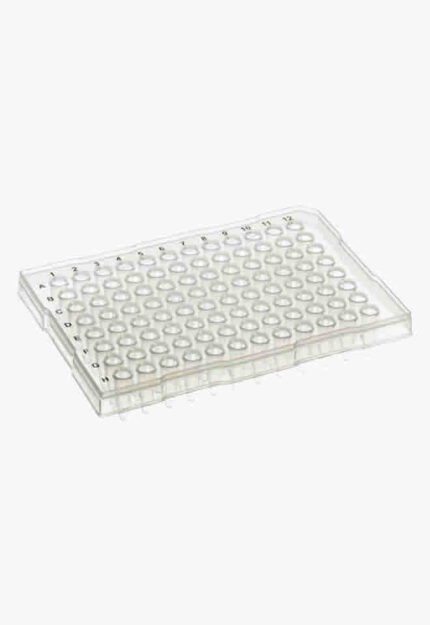 0.2ml PCR Plate, ABI®-Type, Raised Rim, PK50